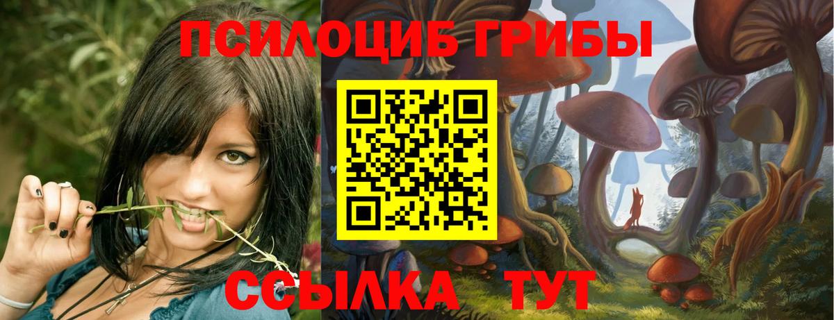 Галлюциногенные грибы Cubensis Вязники